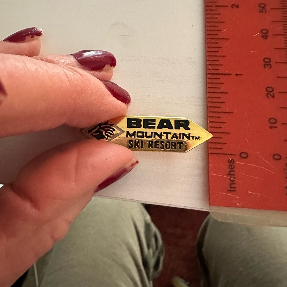 Bear Mountain Ski Resort Pin